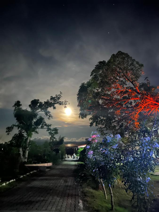 La Plumerias Moalboal Buitenkant foto