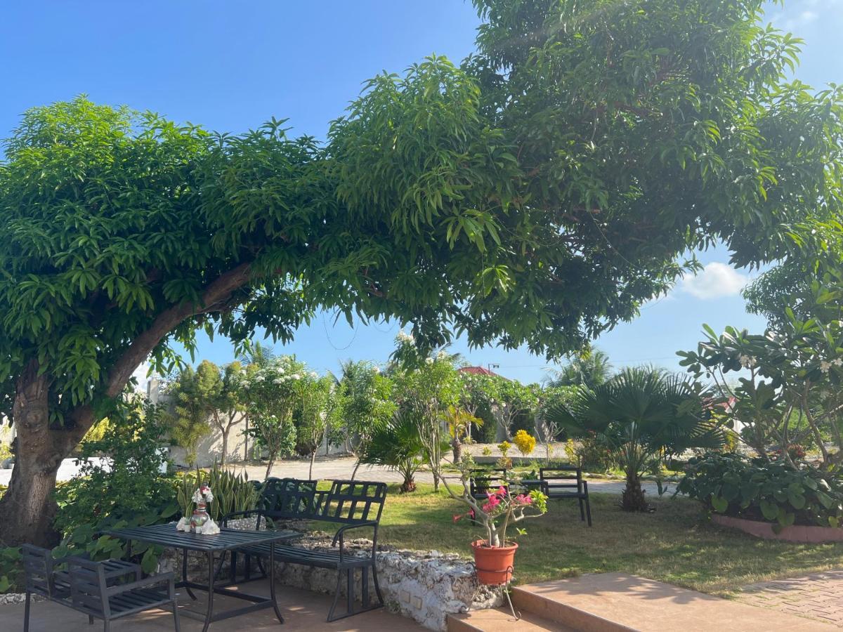 La Plumerias Moalboal Buitenkant foto