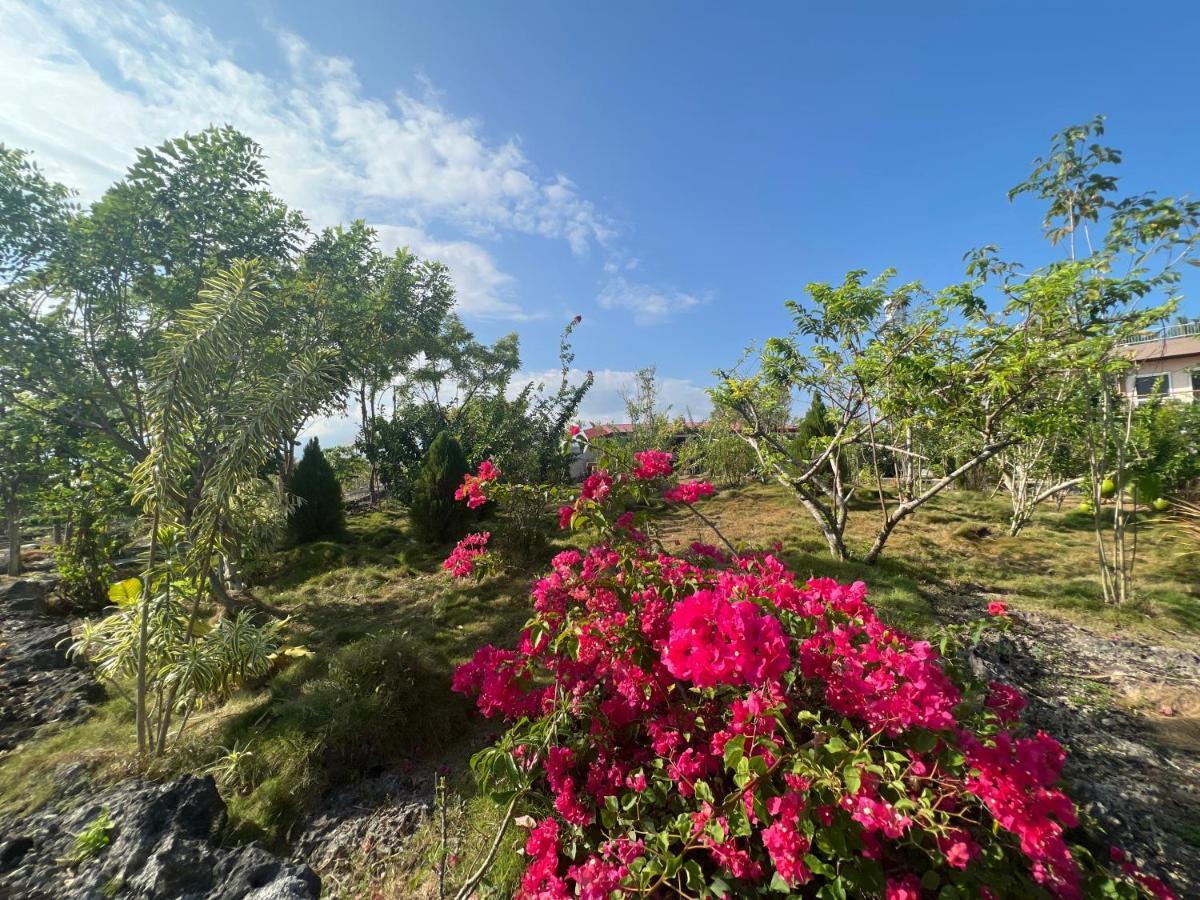 La Plumerias Moalboal Buitenkant foto