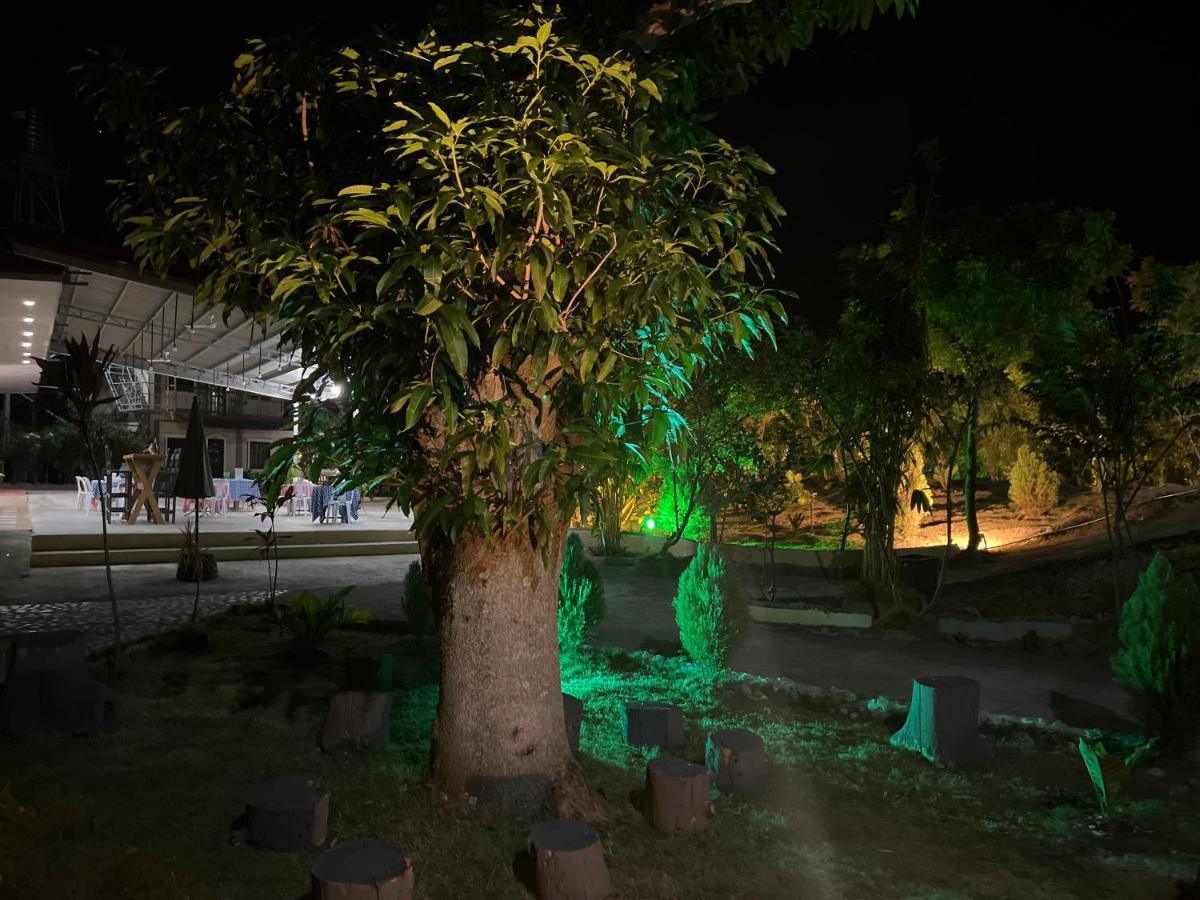 La Plumerias Moalboal Buitenkant foto