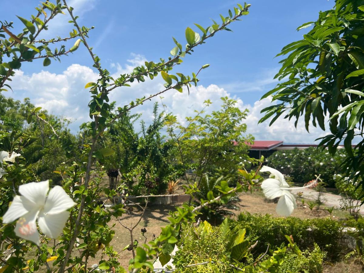 La Plumerias Moalboal Buitenkant foto