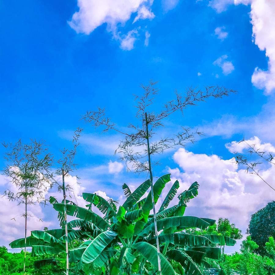La Plumerias Moalboal Buitenkant foto